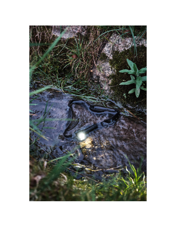 Ліхтар налобний тактичний з червоним світлом Fenix Scout (HM23 V2.0) | Лімітована серія