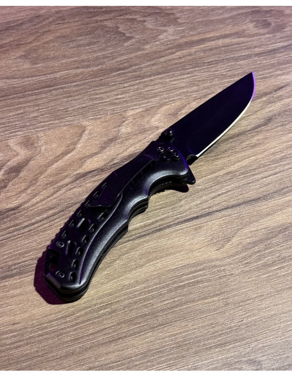 Складаний ніж Active Lizard