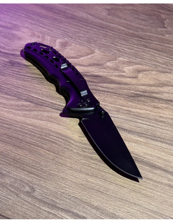 Складаний ніж Active Lizard