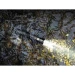 Ліхтар тактичний ручний Fenix PD35R ACE LED 2000 лм + наключний ліхтар CL01 (помаранчевий) | Лімітована серія