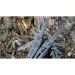 Мультитул Multi Tool Ganzo G103