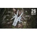 Мультитул Multi Tool Ganzo G301