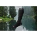 Шкарпетки водонепроникні Dexshell Wading Pro Socks, чорні, розмір XL (47-49)