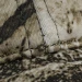 Бейсболка Camotec CamoFLEX, камуфляж Terra UA