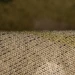 Літні шорти Camotec FitPro LT, мультикам