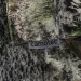 Рукавички з відкритими пальцями Camotec FL, камуфляж Sequoia