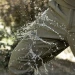 Тактичні штани Camotec SoftShell Vent 3.0, олива