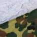 Тактичний лонгслів Camotec Basic 2.0 Cotton, Flecktarn