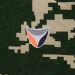 Тактичний лонгслів Camotec Bavovna 2.0, Birch