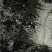 Зимовий баф Camotec StormWall, Sequoia/помаранчевий