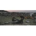 Намет чотиримісний Easy Camp Setesdal 4, купол, 4,6 кг, зелений