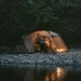 Намет двомісний Naturehike Shandi CNK2300ZP017 з великим тамбуром і навісом, сірий