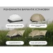 Намет двомісний ультралегкий Naturehike Mongar UL CNK2550WS016, коричневий
