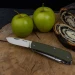 Багатофункціональний ніж Ruike Criterion L41-G, Sandvik 12C27, G10, зелений