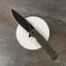 Ніж складаний туристичний Ruike P801-G, Sandvik 14C28N, G10, зелений