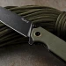 Ніж складаний туристичний Ruike P801-G, Sandvik 14C28N, G10, зелений