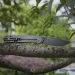 Ніж складаний туристичний Ruike P801-G, Sandvik 14C28N, G10, зелений