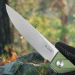 Ніж складаний туристичний Ruike P878-AG, Sandvik 14C28N, алюміній, зелений