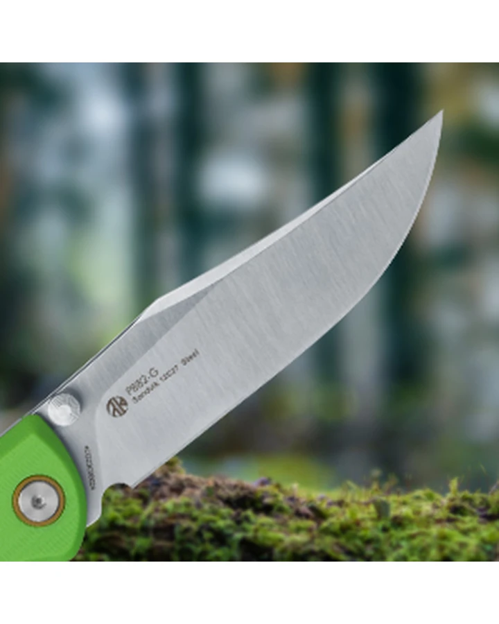 Ніж складаний туристичний Ruike P882-G, Sandvik 12C27, G10, зелений
