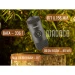Портативна еспресо-кавоварка Wacaco Nanopresso помаранчева, механічна, для меленої кави