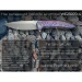 Ніж складаний Weknife Acuminal WE23070-4, Vanax, титан, фіолетовий