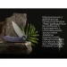 Ніж складаний Weknife Acuminal WE23070-4, Vanax, титан, фіолетовий