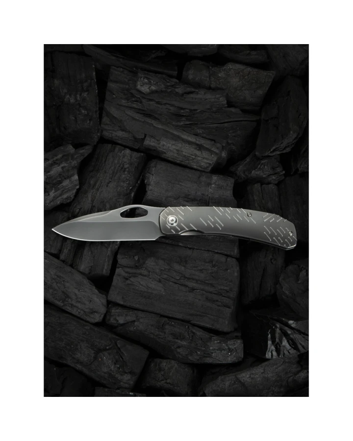 Ніж складаний Weknife Inmate WE23096B-4, CPM-20CV, титан, сірий