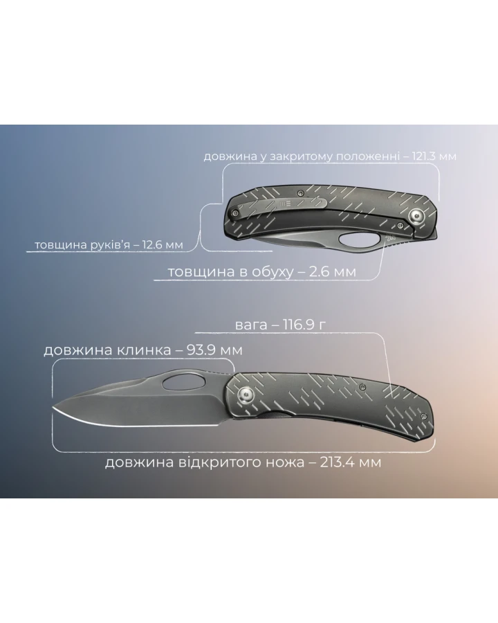 Ніж складаний Weknife Inmate WE23096B-4, CPM-20CV, титан, сірий