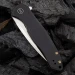 Ніж складаний Weknife Kitefin 2001G, титан, чорний