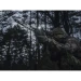 Ліхтар Armytek Partner C2 Magnet USB Warm